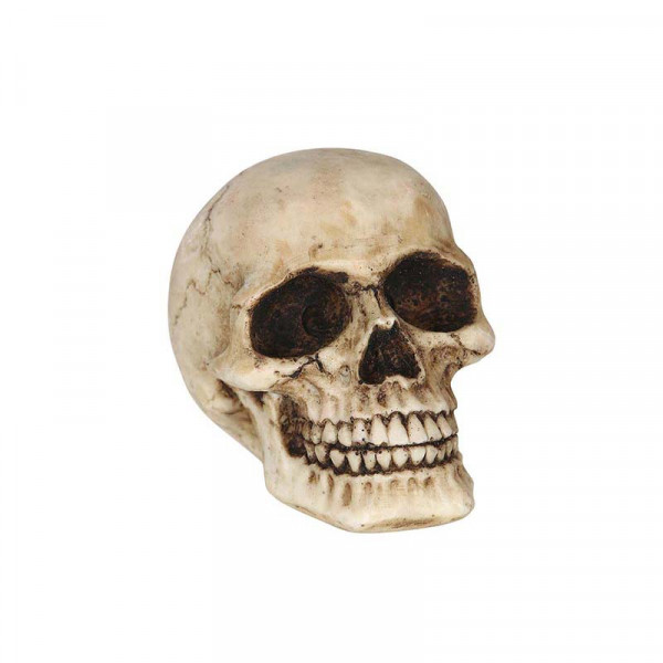 Deko Totenkopf klein 06320