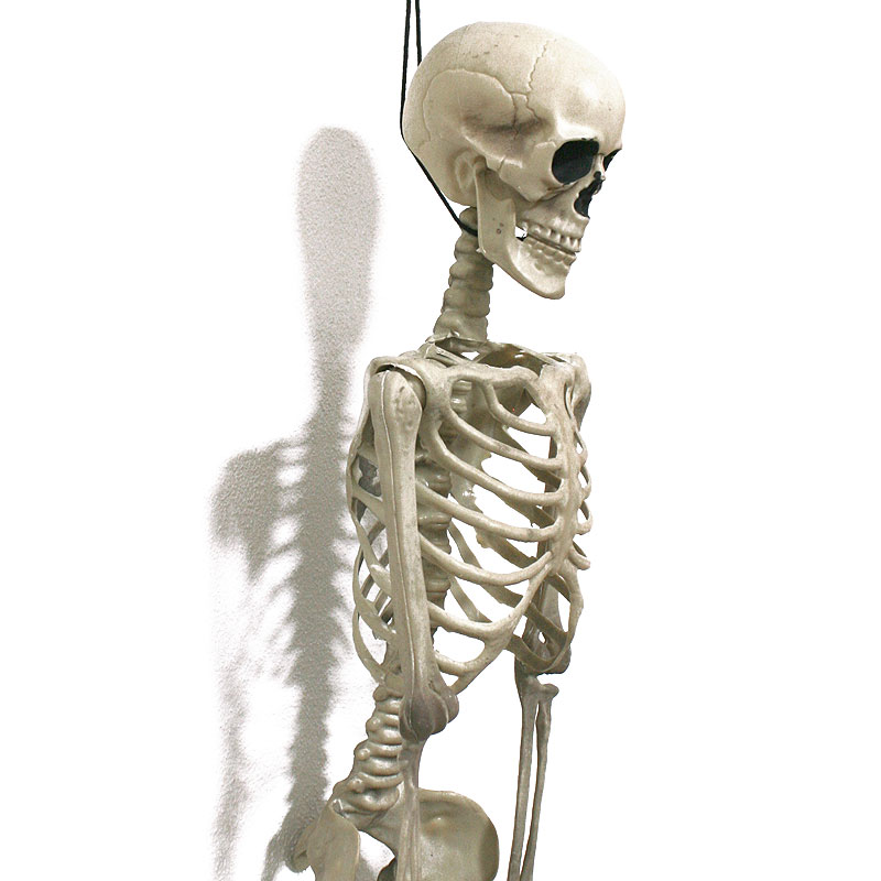 NEU Halloween-Deko Skelett, ca. 90cm, mit beweglichen Gliedern - Halloween  Figuren & Groß-Deko Halloween Produkte 