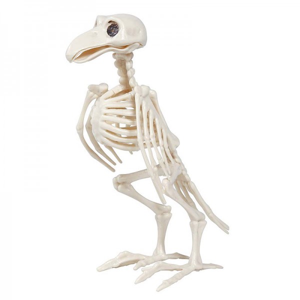 Halloweendeko Vogelgerippe 06215