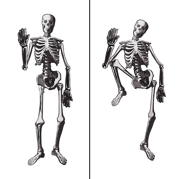 Deko-Skelett aus bedruckter Pappe - Halloween Wanddeko - 135 cm groß